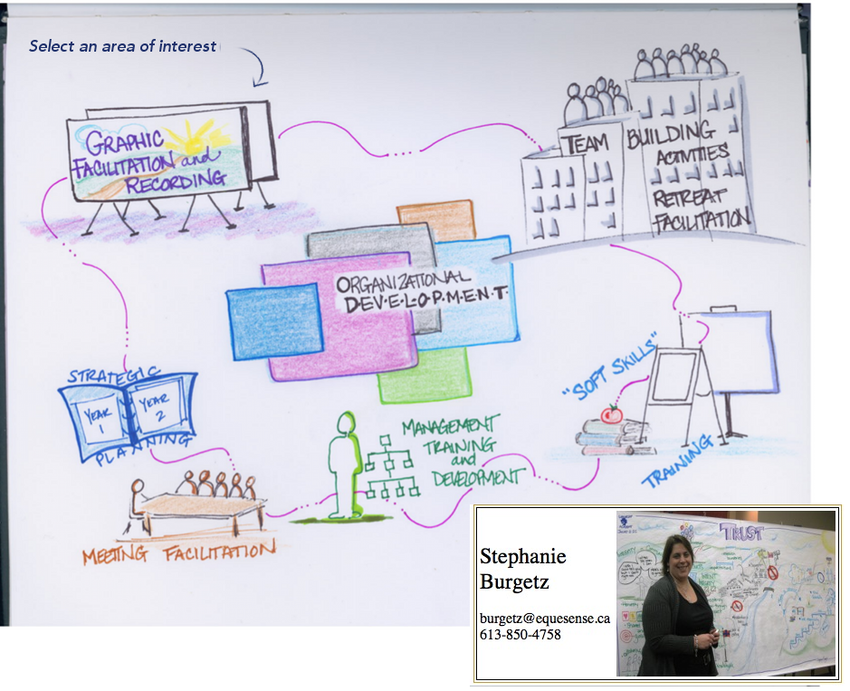 organizational development navigation graphic.
